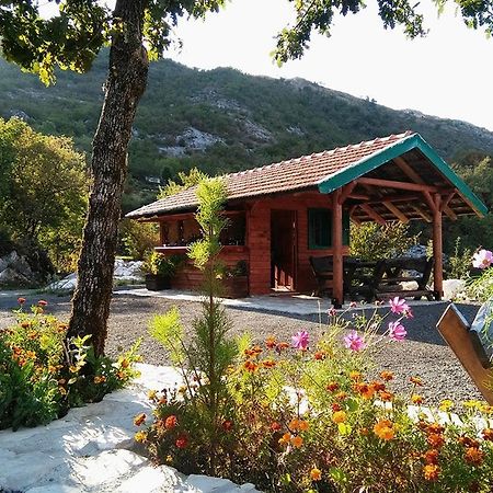 Camp Oaza,Lipa Hotel Cetinje Eksteriør billede