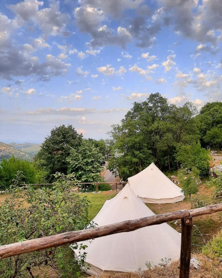 Camp Oaza,Lipa Hotel Cetinje Eksteriør billede