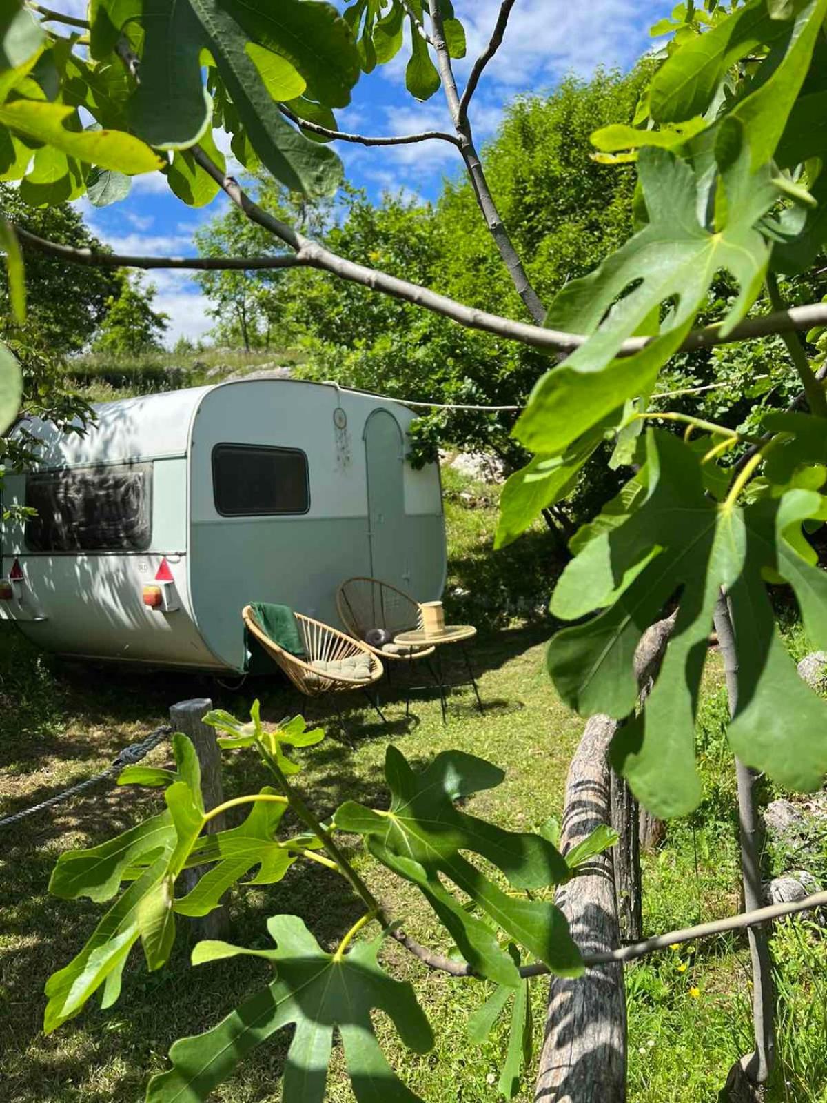 Camp Oaza,Lipa Hotel Cetinje Eksteriør billede